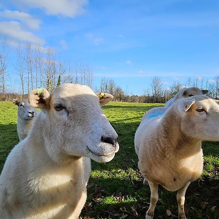 Sleeps 12, Stunning Dog Friendly Lodge, Rural Village Nether Stowey Kültér fotó